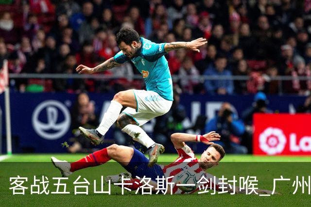 客战五台山卡洛斯一剑封喉 广州豹拿下联赛半程冠军